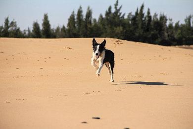 顽皮狗表示《最后的生存者2》已售出1000万份